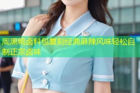 周黑鸭卤料包复刻经典麻辣风味轻松自制正宗卤味