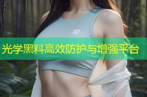 光学黑料高效防护与增强平台