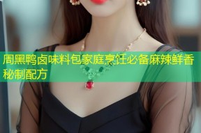 周黑鸭卤味料包家庭烹饪必备麻辣鲜香秘制配方