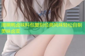 周黑鸭卤味料包复刻经典风味轻松自制美味卤菜