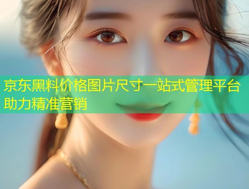 京东黑料价格图片尺寸一站式管理平台助力精准营销  第1张