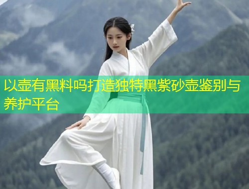 以壶有黑料吗打造独特黑紫砂壶鉴别与养护平台  第1张
