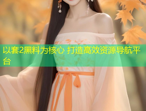 以套2黑料为核心 打造高效资源导航平台  第1张