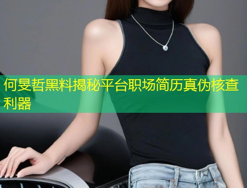 何旻哲黑料揭秘平台职场简历真伪核查利器  第1张
