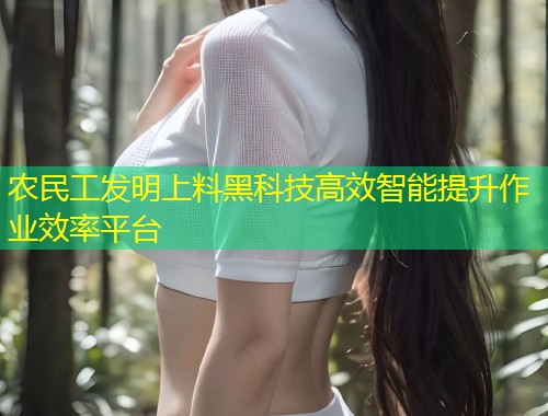 农民工发明上料黑科技高效智能提升作业效率平台  第1张