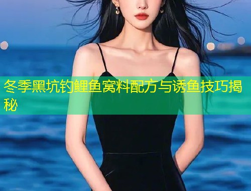 冬季黑坑钓鲤鱼窝料配方与诱鱼技巧揭秘  第1张