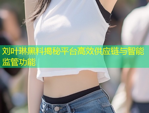 刘叶琳黑料揭秘平台高效供应链与智能监管功能  第2张