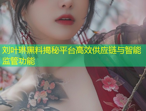 刘叶琳黑料揭秘平台高效供应链与智能监管功能  第1张
