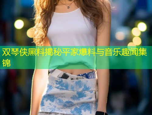 双琴侠黑料揭秘平家爆料与音乐趣闻集锦  第1张