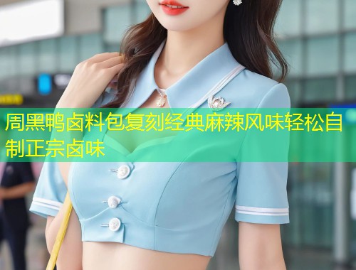 周黑鸭卤料包复刻经典麻辣风味轻松自制正宗卤味  第1张