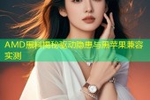 AMD黑料揭秘驱动隐患与黑苹果兼容实测