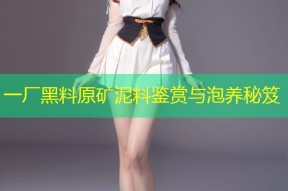 一厂黑料原矿泥料鉴赏与泡养秘笈