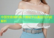 中国警察黑料稀少揭秘平台真相与功能解析