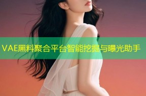 VAE黑料聚合平台智能挖掘与曝光助手