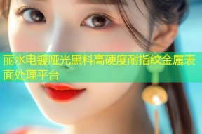 丽水电镀哑光黑料高硬度耐指纹金属表面处理平台