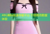48G黑料极速传输平台 引领高效数据体验