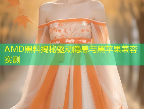 AMD黑料揭秘驱动隐患与黑苹果兼容实测  第2张