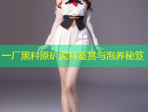一厂黑料原矿泥料鉴赏与泡养秘笈  第1张