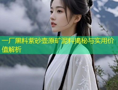 一厂黑料紫砂壶原矿泥料揭秘与实用价值解析  第1张