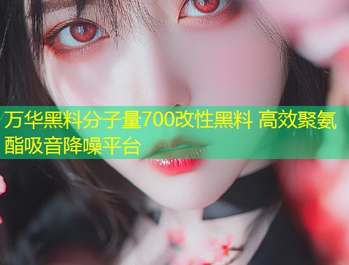 万华黑料分子量700改性黑料 高效聚氨酯吸音降噪平台  第2张