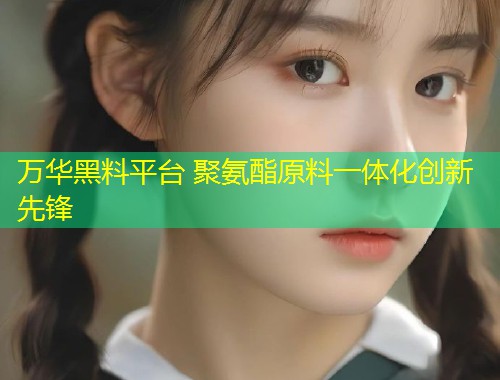 万华黑料平台 聚氨酯原料一体化创新先锋  第2张