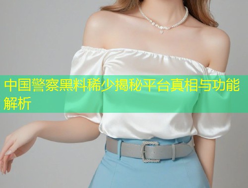 中国警察黑料稀少揭秘平台真相与功能解析  第1张