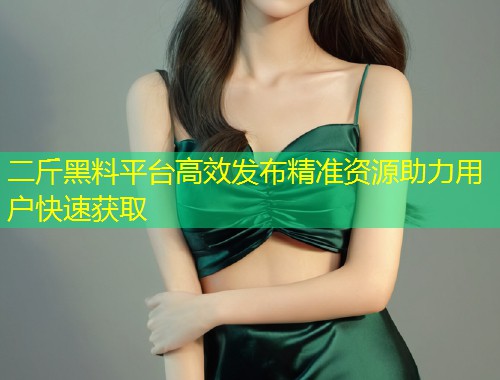 二斤黑料平台高效发布精准资源助力用户快速获取  第1张